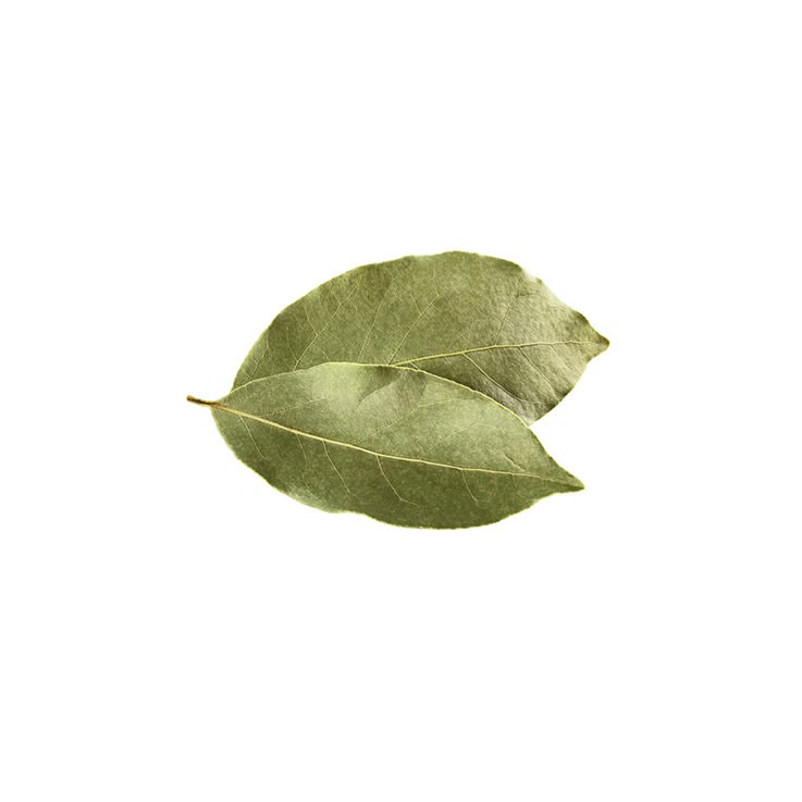 Active ingredient: Boldo extract