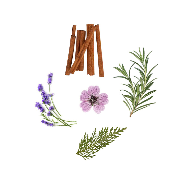 Active ingredient: Essential oil complex: lavender, rosemary, cinnamon, cypress and geranium